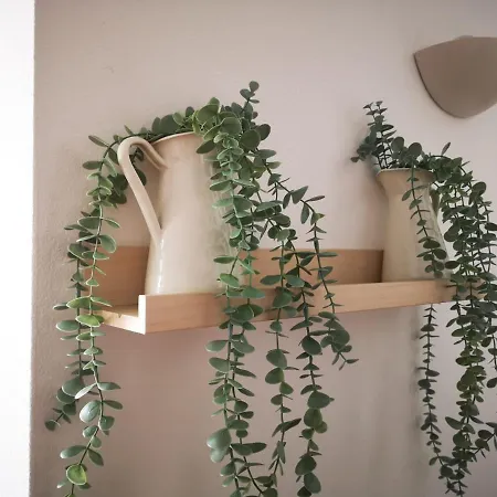 Alegria Center Appartement *