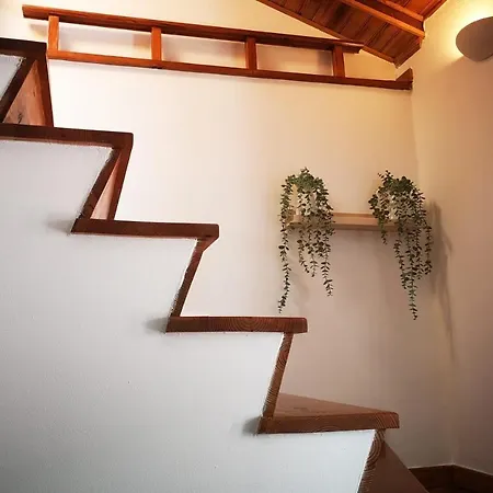 Alegria Center Апартаменти