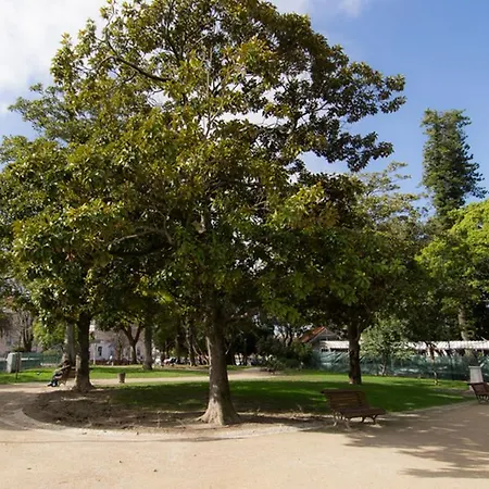 Alegria Center דירה *